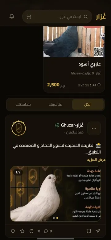 الرئيسية: مزادات مباشرة ومنشورات المربّين في فيد واحد